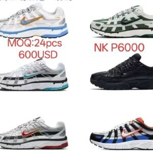 NK P6000 24PCS  480USD
